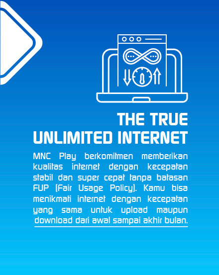 The-True-Unlimit-Internet